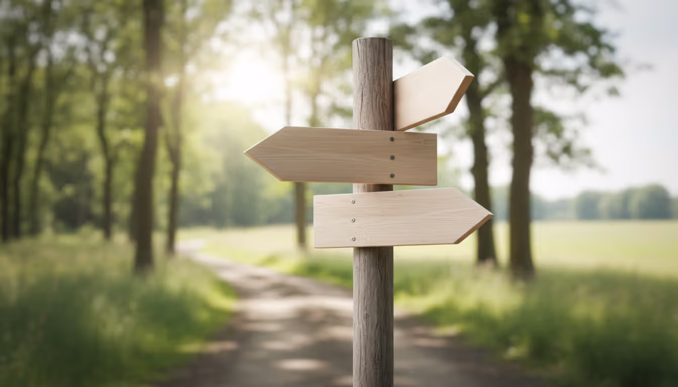 Three blank wooden directional signs on post pointing different ways