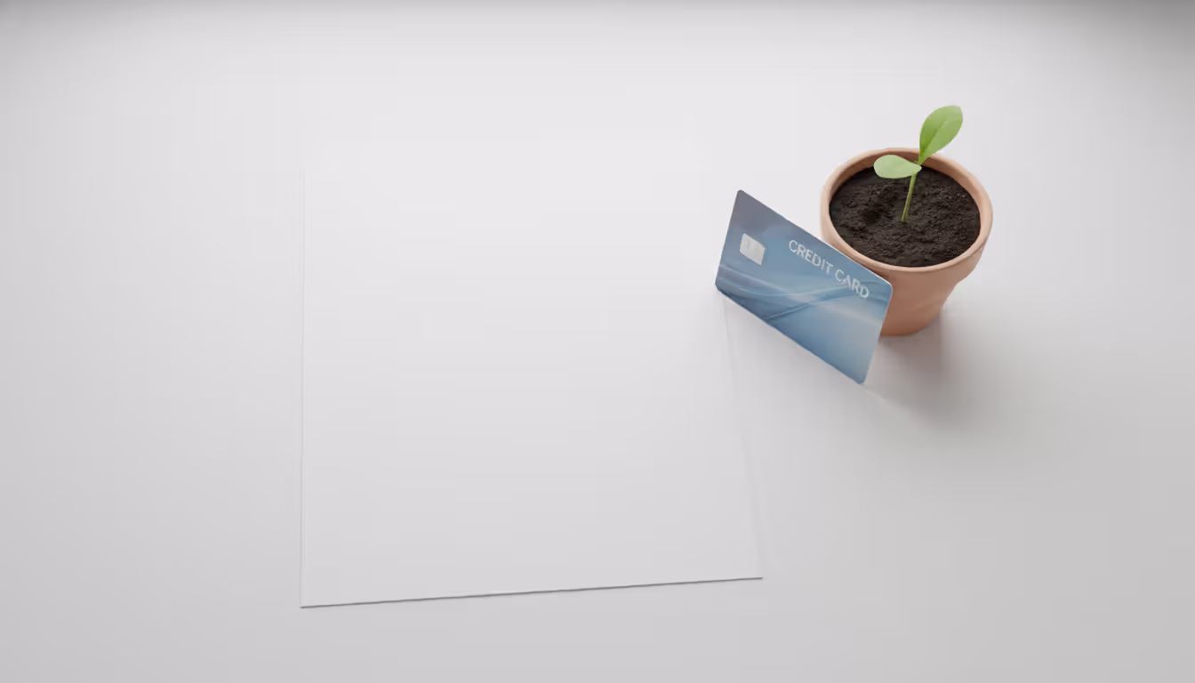 Clean white desk with a blank sheet of paper, a new credit card, and a small green plant sprout symbolizing a fresh financial start, top-down view